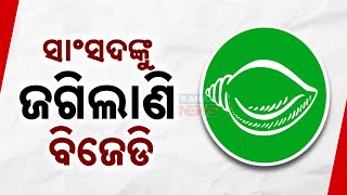 ସାଂସଦକୁ ଜଗିଲାଣି ବିଜେଡି  BJD Supremo Naveen Patnaiks Masterstroke Amid Political Turmoil [upl. by Cullan188]