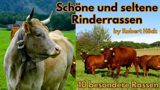 Schöne und seltene Rinderrassen  Eine Dokumentation über Kühe  Tiere Film von Robert Höck HD [upl. by Fairfield732]