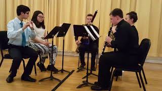 The Goodwinds Woodwind Quintet [upl. by Noryak]