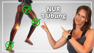 Diese GENIALE ÜBUNG macht ALLE Gelenke beweglich  Neuroathletik [upl. by Ahsiekat54]