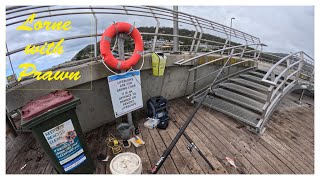 Lorne pier prawns [upl. by Naivad189]