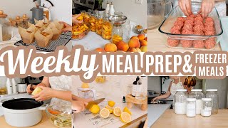 EASY BUDGET FRIENDLY WEEKLY MEAL PREP RECIPES LARGE FAMILY MEALS WHATS FOR DINNER FREEZER MEALS [upl. by Aratal]