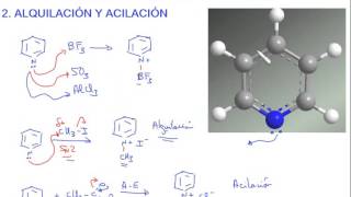 Piridina  Alquilación acilación y oxidación de la piridina [upl. by Berti]