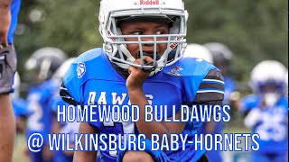 Homewood  Wilkinsburg 6u  2023 Highlights  DreamShotsMedia [upl. by Kimberly]