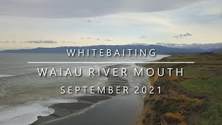 Whitebaiting the Waiau River Southland  September 2021 043 [upl. by Sand481]