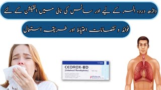 uses for Cedrox Bd 500 mg Tablet Cefadroxil 500mg cedrox bd tablet uses in urdu how to use cedrox [upl. by Janey632]