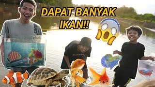 BERBURU IKAN CUPANG GALAXY IKAN HIAS DAN KURA KURA DIPENGAIRAN BOCIL DAPET BANYAK  Mikael TubeHD [upl. by Demmer]