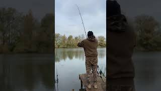 Carpfishing Germany 2024  Karpfenangeln angeln fishing carpfishing carp fish nature bigcarp [upl. by Khoury]