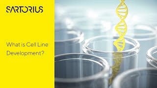 What is Cell Line Development Key Steps for Biopharmaceutical Production [upl. by Benji]