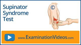 Supinator Syndrome Test [upl. by Rickie21]