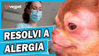 Dermatite em Cachorro e Atópica  Sintomas Causas Diagnóstico e Tratamento [upl. by Merrie44]