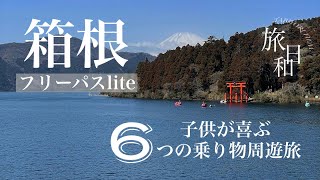 【旅日和】箱根フリーパスliteで周遊日帰り旅 [upl. by Ecinej]