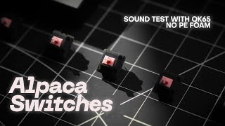 Alpaca Switches Stock vs Lubed Sound QK65 no PE Foam [upl. by Atikkin]