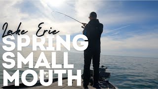 Lake Erie Smallmouth Bass  Finesse Swimbait Fishing FT 2024 Shimano Twinpower FE [upl. by Alegnasor]