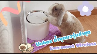 Unbox น้ำพุแมวรุ่นใหม่ล่าสุด Petkit Eversweet Wireless Eversweet 6 [upl. by Annyahs]