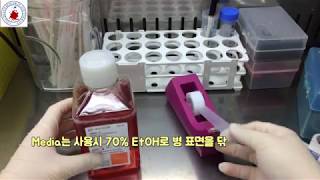 Mammalian cell culture media [upl. by Evreh]