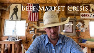 What is going on with beef prices An explanation of cattlebeef market manipulation [upl. by Jenn]