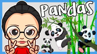 Los 🐼 pandas ya NO están en PELIGRO de EXTINCIÓN  shorts [upl. by Nagoh]