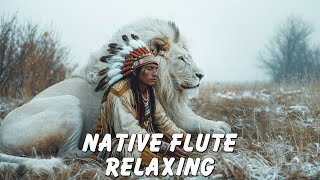 Shamanic Music for Spiritual Healing and Meditation  Native American Meditation Flute Music [upl. by Notnilk356]