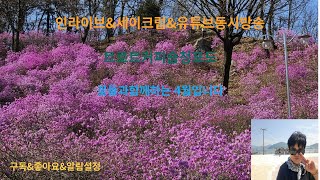 제155회4월6일토요일트로트커피숍부국청포도🌹구독좋아요👍알림설정� [upl. by Raddi79]