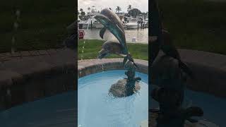 🐬 Dolphin Fountain 🐬 Fort Pierce City Marina ⛵ [upl. by Napier]