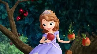 Sofia the First Fairies Adventure Festival Movie Explained In HindiUrdu Summarized हिन्दी [upl. by Lhamaj]