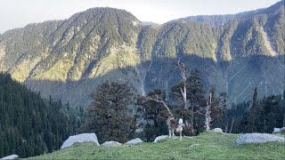 Relaxing View of Kareri Lake  Relaxing  Soothing  Kareri Village  Kareri Trek [upl. by Enitsed]