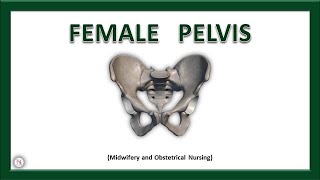 FEMALE PELVIS  Anatomy  Bones  Ligaments  Joints  True amp False Pelvis  The Nurses Station [upl. by Jeremiah627]