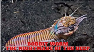 Bobbit Worm  The Nightmare Of The Deep [upl. by Sosthenna]