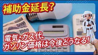 補助金延長？電気・ガス代、ガソリン価格は今後どうなる！ [upl. by Harris]