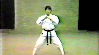 Tracy Kenpo Karate form Short 1 AB 1980 [upl. by Adnolohs223]