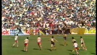 1981 Grand Final  WAFL  South Fremantle v Claremont [upl. by Enilkcaj]