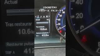 ODOMETRO TRIPA TRIPB usos y funciones automobile [upl. by Mollee881]