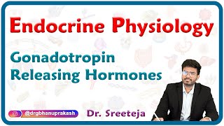 Gonadotropin Releasing Hormones  Endocrine physiology USMLE Step 1 [upl. by French]