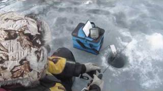 Thunder Lake Trout and Walleyewmv [upl. by Padgett]