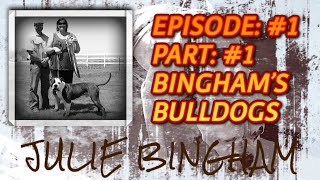 BINGHAMS BULLDOGS WITH JULIE BINGHAM  EPISODE 1 PART 1  AMERICAN BULLDOG BREEDERS EXCLUSIVE [upl. by Idoc455]