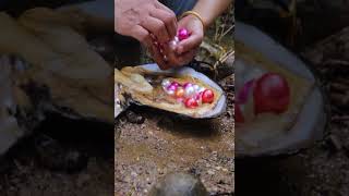 The real process of collecting pearls from clams [upl. by Zechariah]