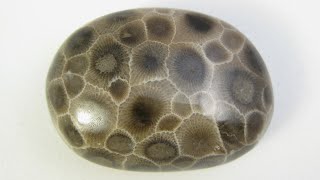 How to Pick the Perfect Petoskey Stone [upl. by Sussna799]