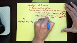 CHEM A104 Chapter 18 Hydrolysis of Amides [upl. by Lladnew]