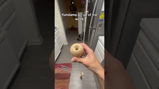 kendama [upl. by Aciram]