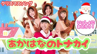 あかはなのトナカイ🎄🦌【ポップンダンス】いっしょにおどろう！ [upl. by Rovner]