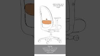 Adjustment Guide Tone Chair [upl. by Wadesworth]