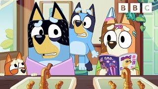 Bingo and Bluey Play Hairdressers  CBeebies [upl. by Sabec336]