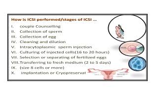 Intracytoplasmic Sperm Injection ICSI Video No 411 [upl. by Perice680]