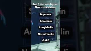 Top 5 der wichtigsten Neurotransmitter youtubeshorts top5 neurotransmitter fakten [upl. by Kresic]