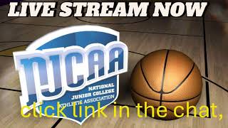 Jones College vs Three Rivers Community College  MO  Div 1  NJCAA College Mens Basketball 2024 [upl. by Hauge]