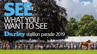 The 2019 Darley stallion parade at Dalham Hall stud [upl. by Elatsyrc]