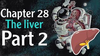 Physiology chapter 28 The Liver part 2  فسلجة وزاري [upl. by Godwin79]