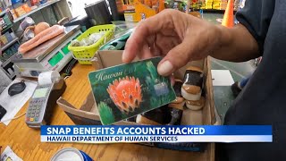 Oahu SNAP benefit recipients report accounts were hacked thousands stolen in funds [upl. by Betta]