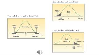 Business Statistics Lesson 10 One Sample Test of Hypothesis [upl. by Sigrid]